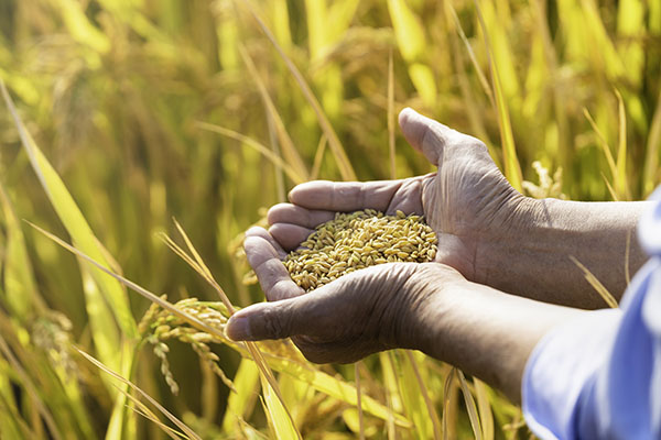 分析物联网下智慧农业的主要功能 分析物联网下智慧农业的主要功能